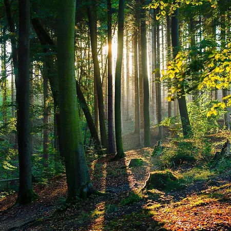 - Zentral, Stilvoll Und Ruhig Mit Balkon Und Boxspringbetten Appartement Möhnesee