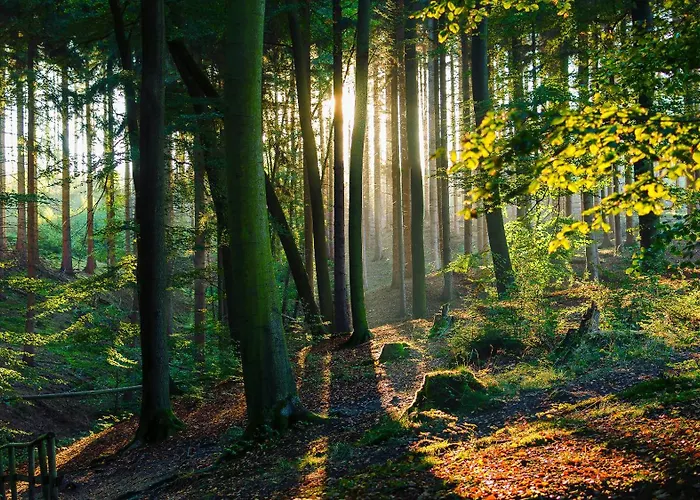 - Zentral, Stilvoll Und Ruhig Mit Balkon Und Boxspringbetten Appartamento Möhnesee